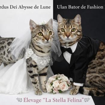 Mariage Abysse de Lune ❤ Ulan Bator